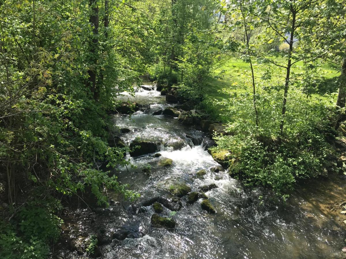 Grosse Und Helle 3 Zi Wohnung In Lossburg-Betzweiler, Schwarzwald Buitenkant foto
